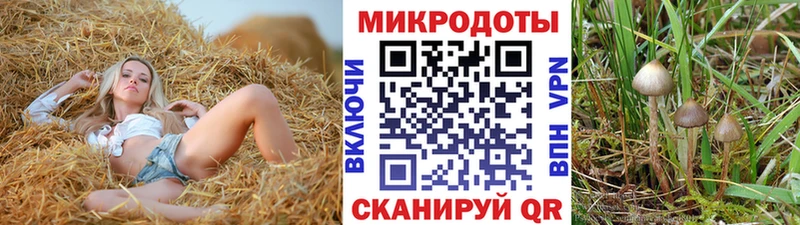 Галлюциногенные грибы прущие грибы  Ильский 